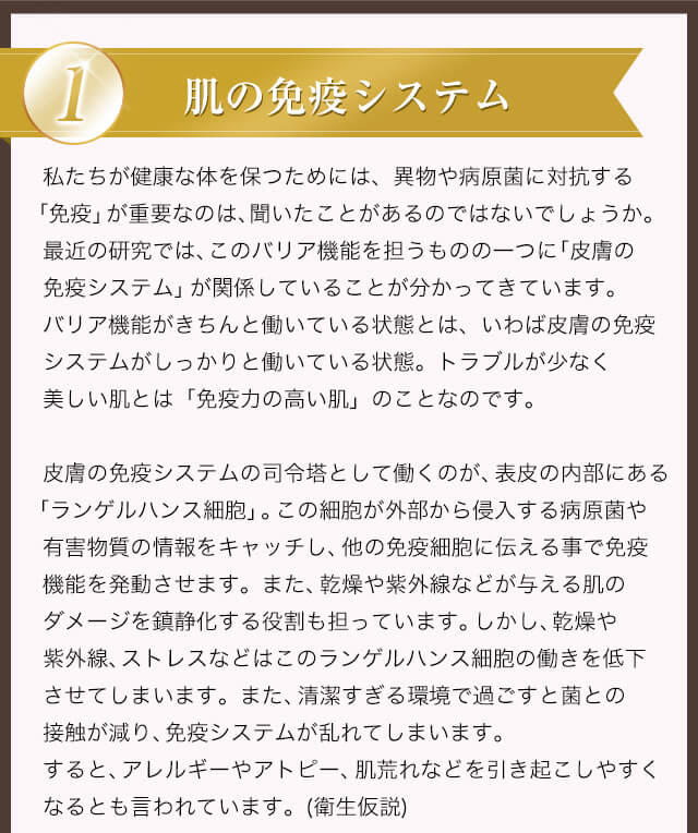 肌の免疫システム